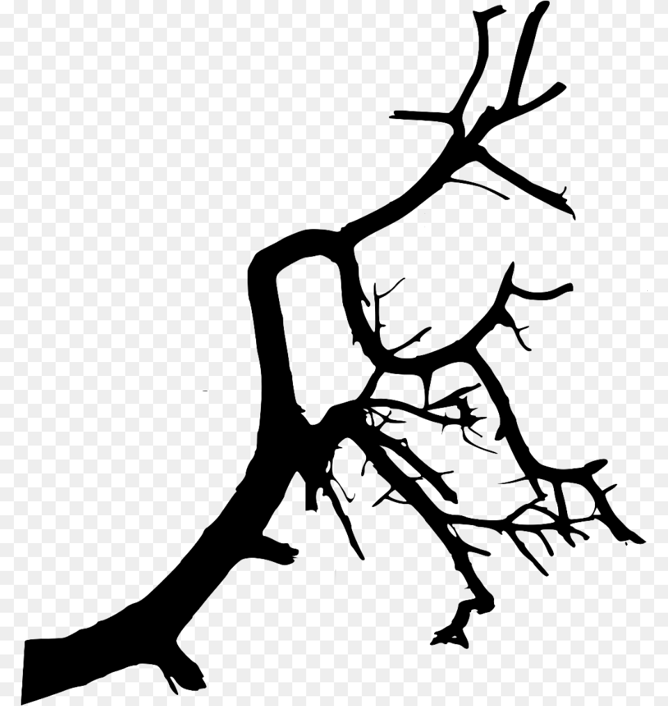 Trees Tree Foliage Shadow Black Nature Plants Tree Branch Tree Shadow, Gray Png