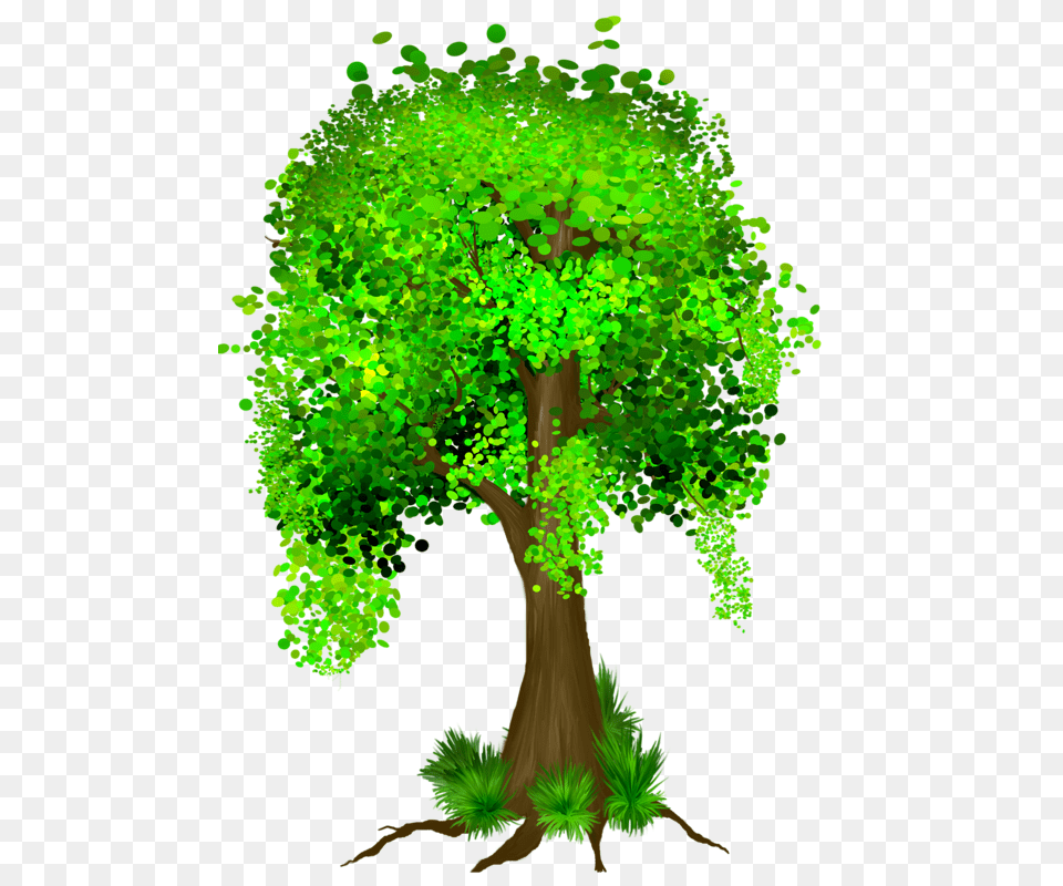 Trees Tree Of Life Trees, Plant, Tree Trunk, Vegetation, Green Free Transparent Png