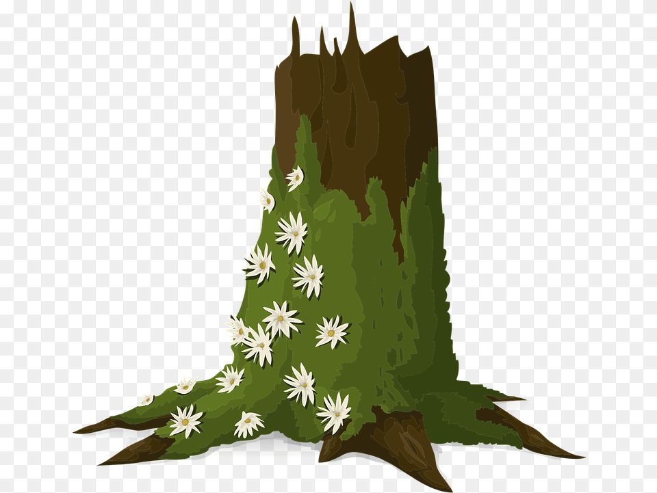 Trees Trunks Moss Moss Vector, Green, Plant, Tree, Adult Free Png