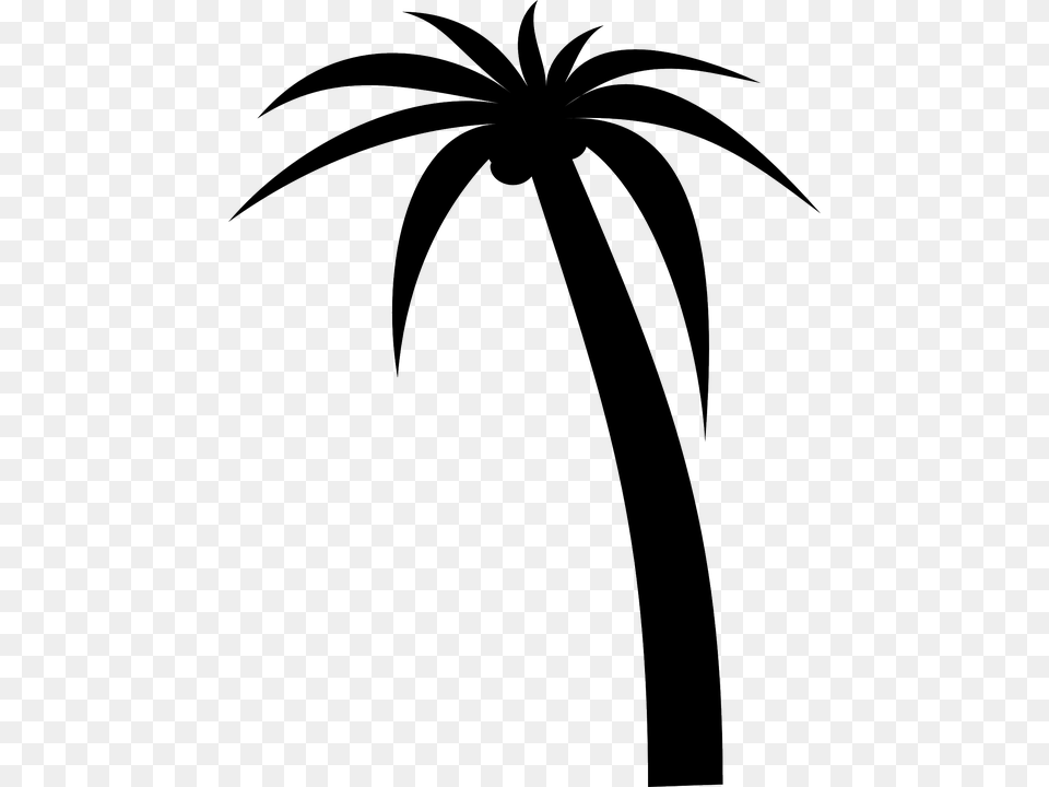 Trees Vector Graphics Pixabay Images Vector Green Coconut Tree, Plant Free Transparent Png