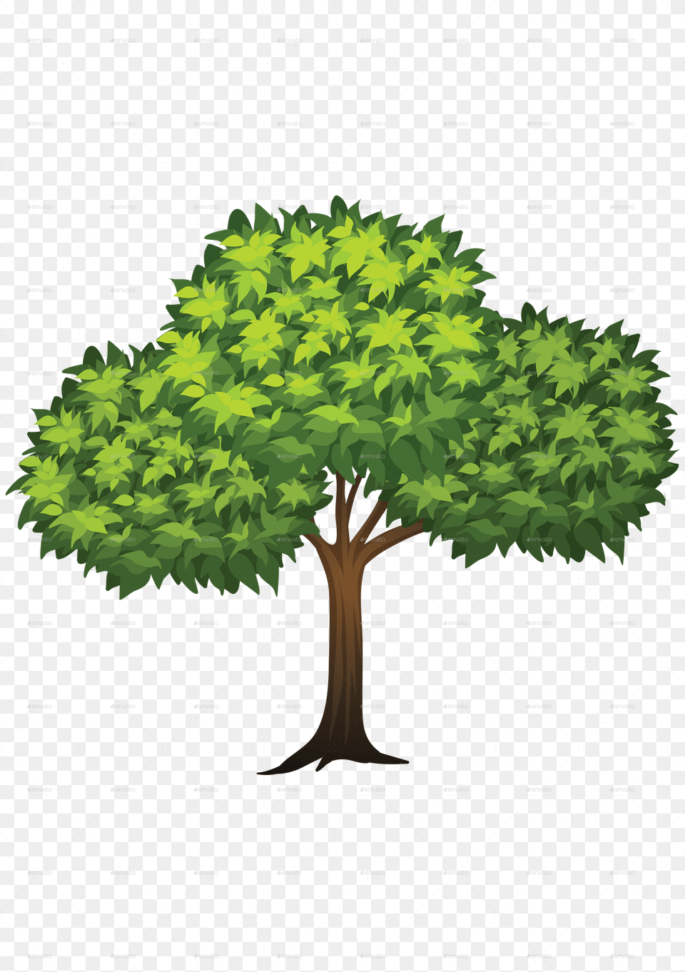 Trees Vectors Trees Jpg, Green, Vegetation, Tree, Plant Free Png Download