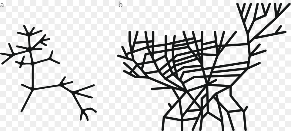 Trees Vs Networks The Graph Medium, Nature, Outdoors, Snow, Snowflake Free Transparent Png