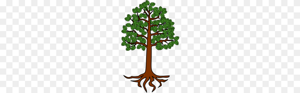 Trees With Roots Clip Art, Plant, Vegetation, Tree, Land Free Transparent Png