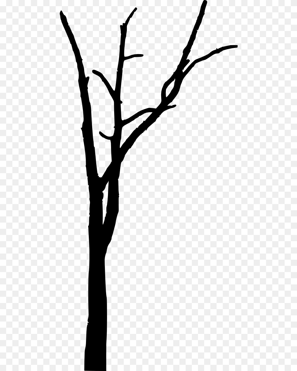 Trees Without Leaves Spooky Trees Silhouette Bare, Plant, Tree, Tree Trunk, Bow Png Image