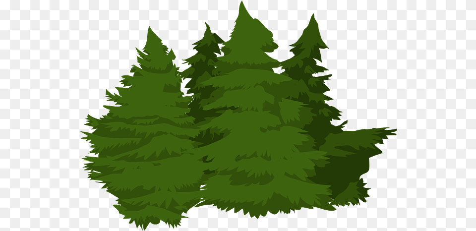 Trees Woods Pines Vector Graphic On Pixabay Woods, Fir, Green, Plant, Tree Free Transparent Png