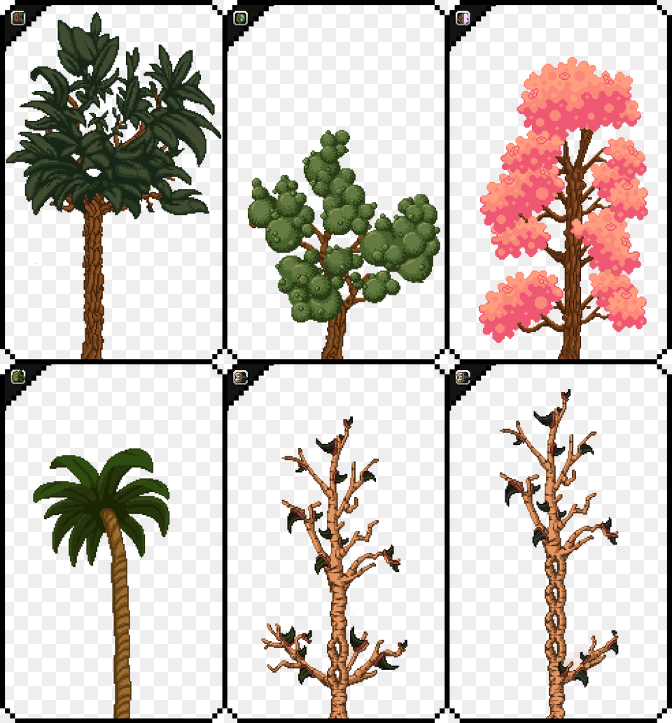 Trees1 Starbound Wiki Fandom Powered By Wikia Palm Tree, Palm Tree, Plant, Vegetation, Conifer Free Transparent Png
