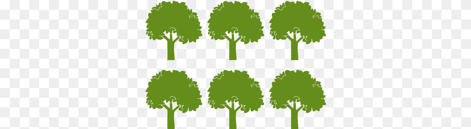 Treescharlotte Helps Educate Kids Tree, Green, Plant, Vegetation, Oak Png Image