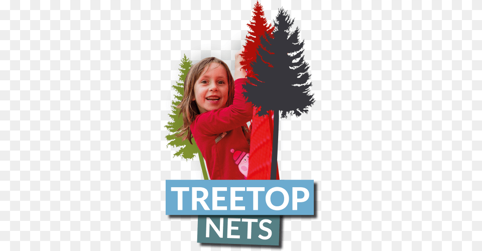 Treetop Nets Christmas Tree, Portrait, Plant, Photography, Person Png