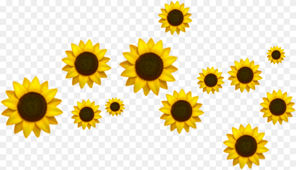Trend Background Crown Tumblr Doodles Sunflower Emoji, Flower, Plant, Daisy, Petal Free Png Download