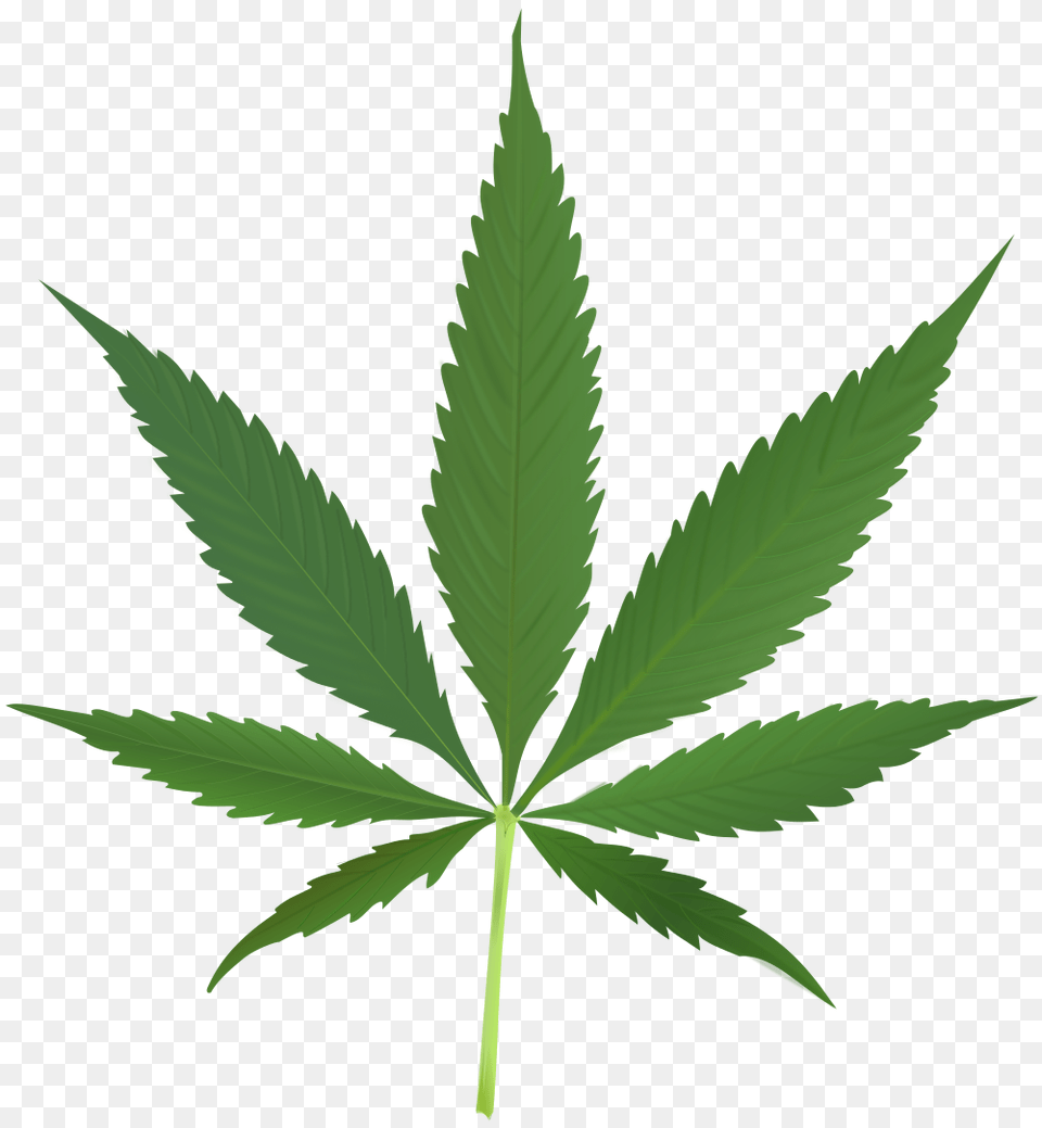 Trend Setting Smoke Signals Bend The Source Weekly, Leaf, Plant, Weed, Hemp Png