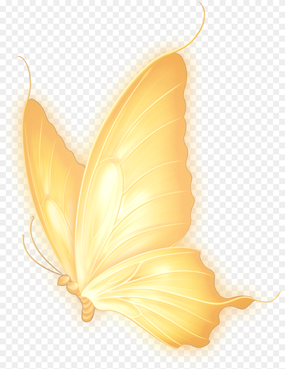Trending Yellow Butterfly Aesthetic Neon, Flower, Leaf, Petal, Plant Free Png