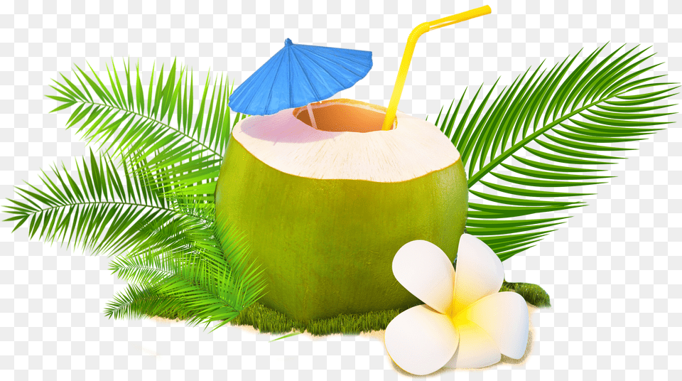 Trendy Coconut, Food, Fruit, Plant, Produce Png Image
