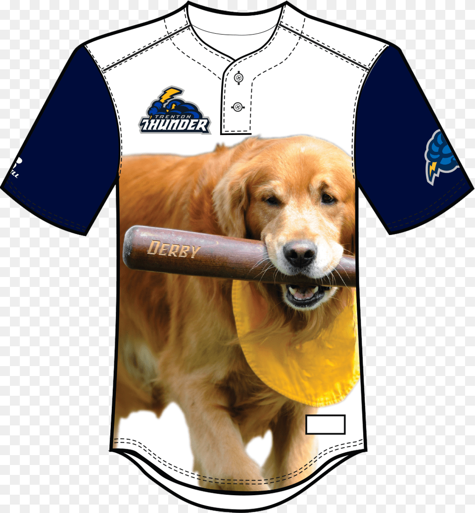 Trenton Thunder Dog Jersey, Animal, Pet, Mammal, Golden Retriever Png