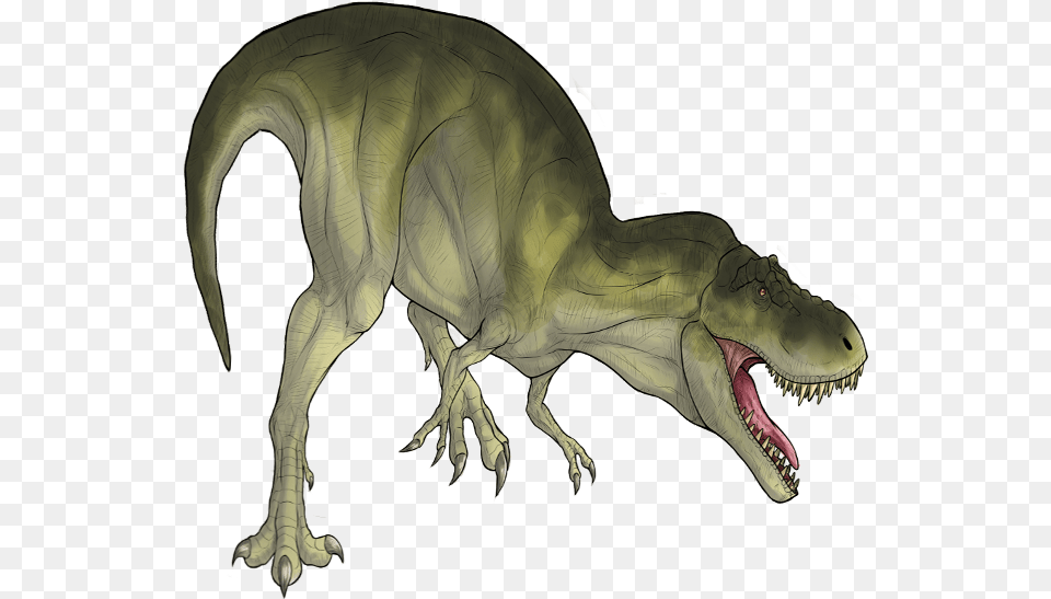 Trex, Animal, Dinosaur, Reptile, T-rex Png