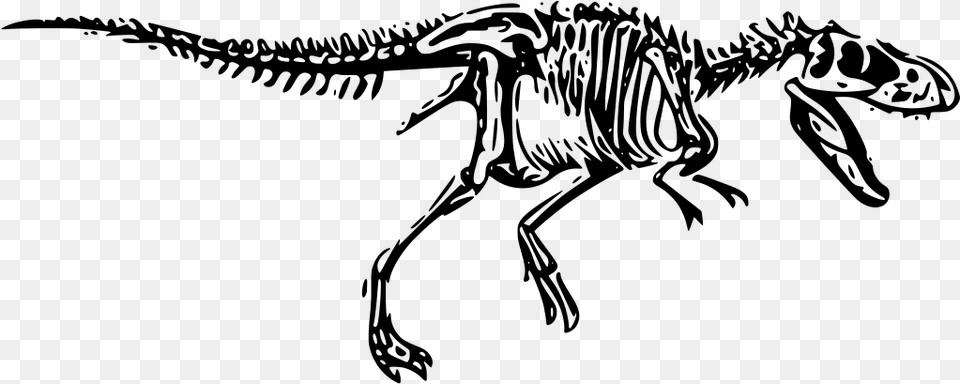 Trex, Gray Free Transparent Png