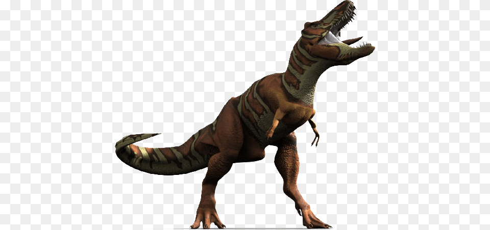 Trex Roar T Rex Roaring, Animal, Dinosaur, Reptile, T-rex Free Png