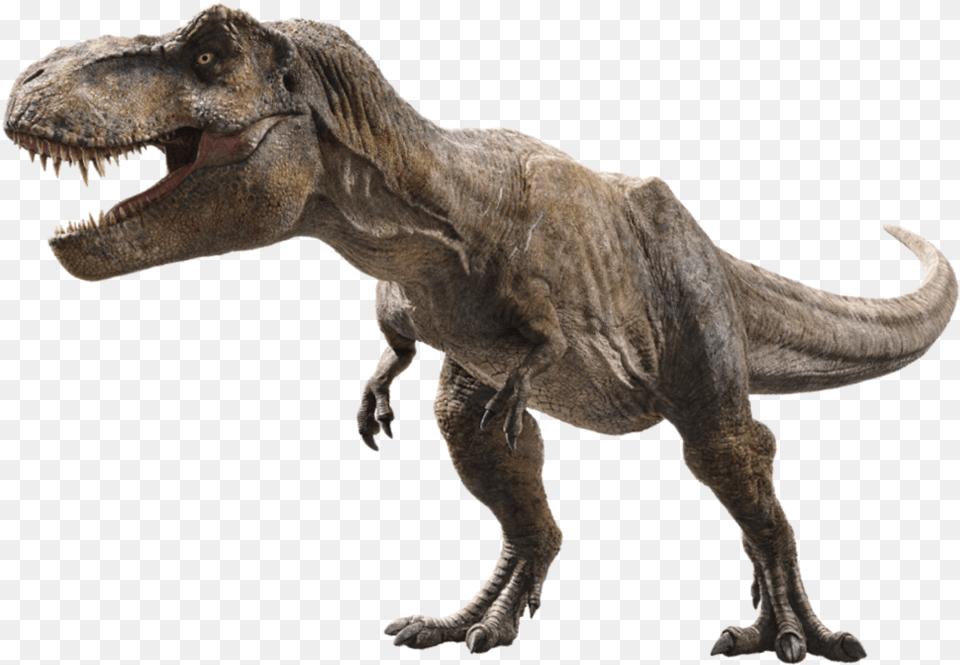 Trex Scar Jurassic World Fallen Kingdom T Rex, Animal, Dinosaur, Reptile, T-rex Png Image