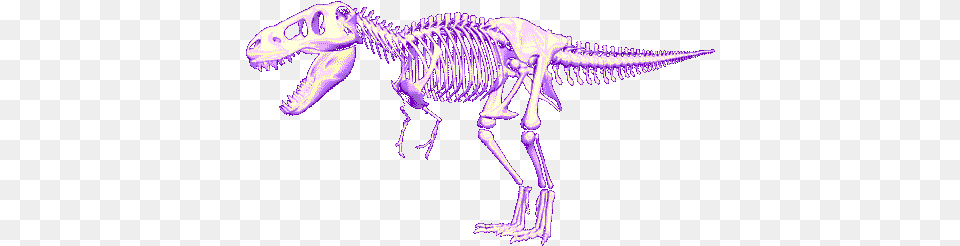 Trex Images Tyrannosaurus Rex, Skeleton, Animal, Dinosaur, Reptile Free Transparent Png