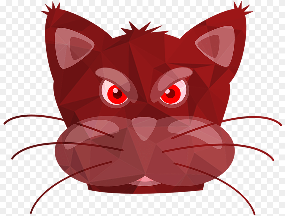 Triangle Eye, Snout, Animal, Cat, Mammal Png Image