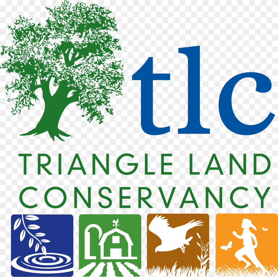 Triangle Land Conservancy, Plant, Vegetation, Tree, Green Free Png Download