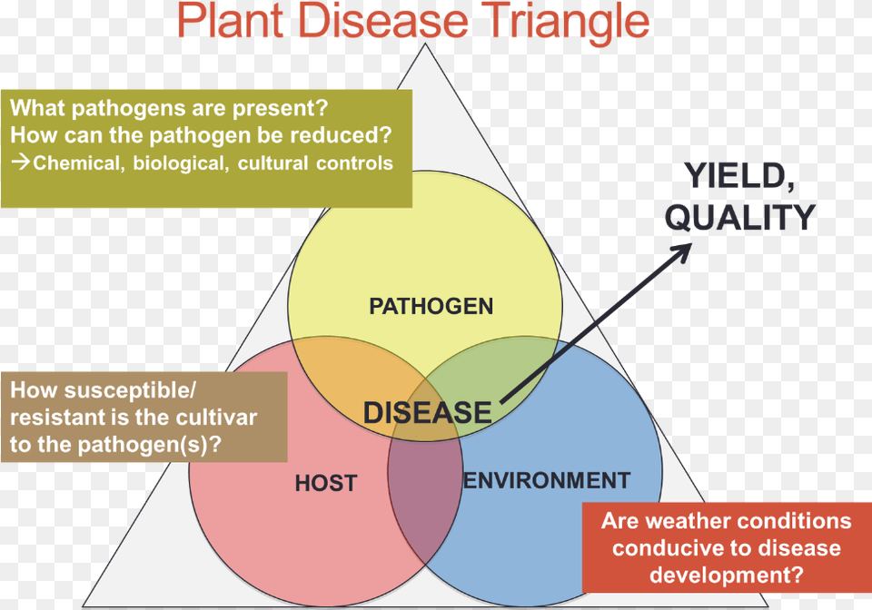 Triangle Of Disease Development In Plants, Diagram Free Png Download