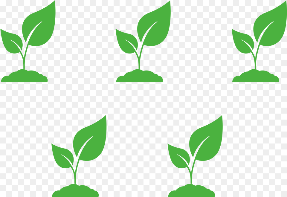 Triangular Planting Pattern, Green, Leaf, Plant Free Png