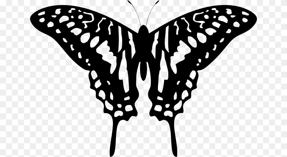 Tribal Butterfly Silhouette By Karen Arnold Black And Grey Butterfly, Gray Free Transparent Png