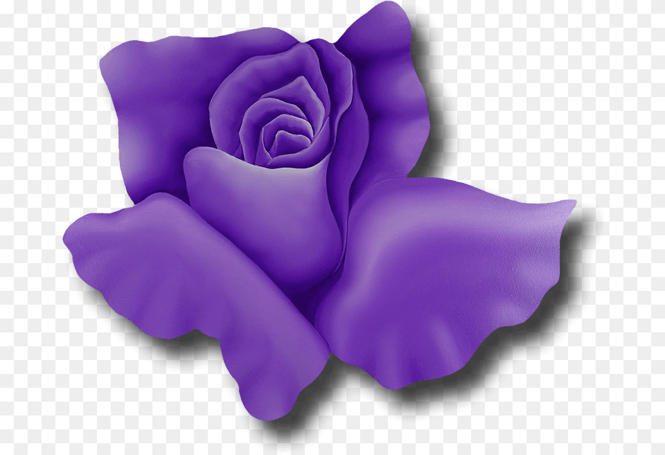 Tribute To Florida, Flower, Plant, Rose, Petal Png