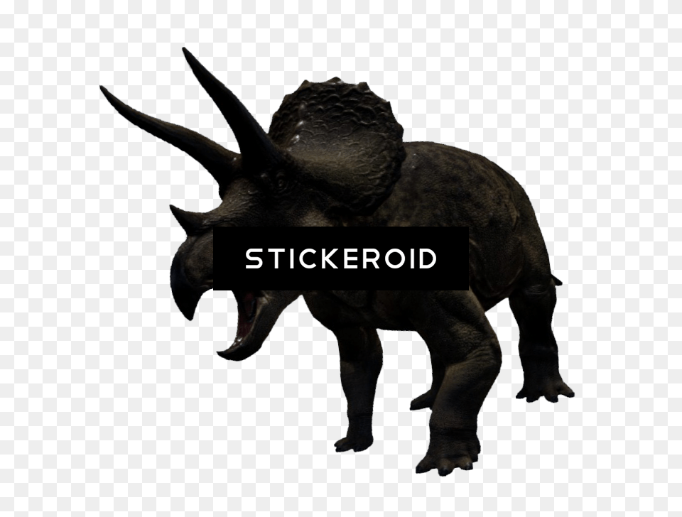 Triceratop Animals Dinosaur Reptile Triceratops, Animal, Bear, Mammal, Wildlife Png