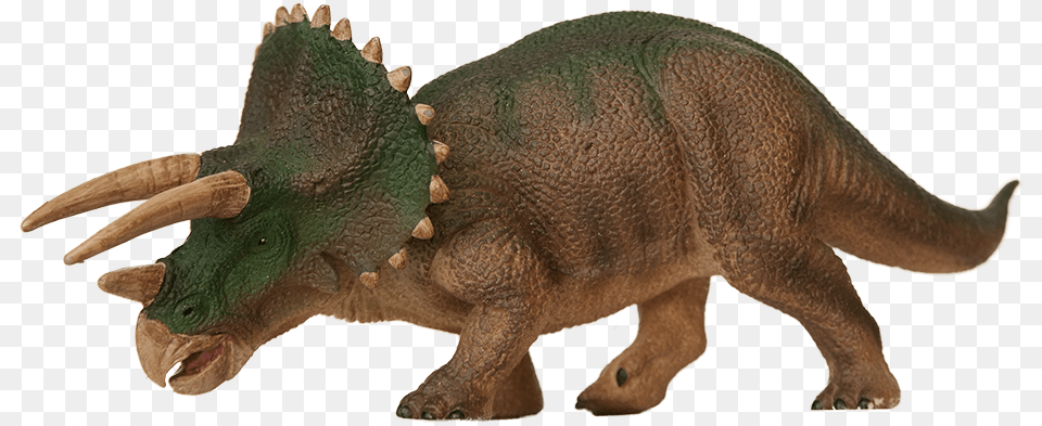 Triceratops, Animal, Dinosaur, Reptile Png Image