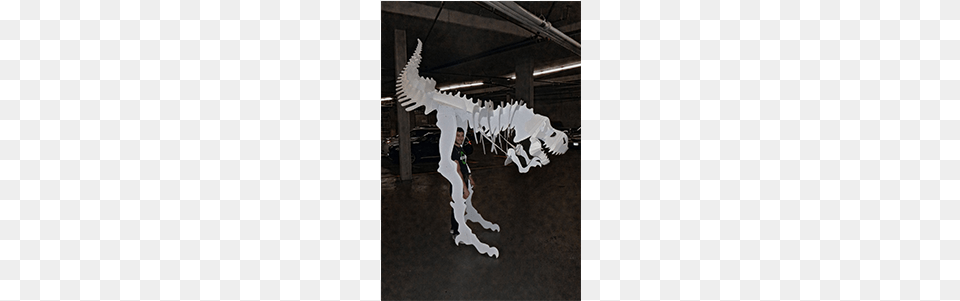 Triceratops, Adult, Male, Man, Person Free Png