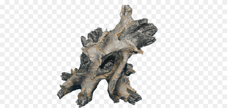 Triceratops, Wood, Mineral, Accessories, Animal Free Png