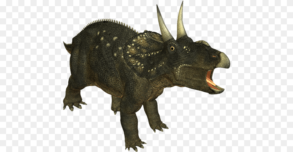 Triceratops, Animal, Dinosaur, Reptile Free Png Download