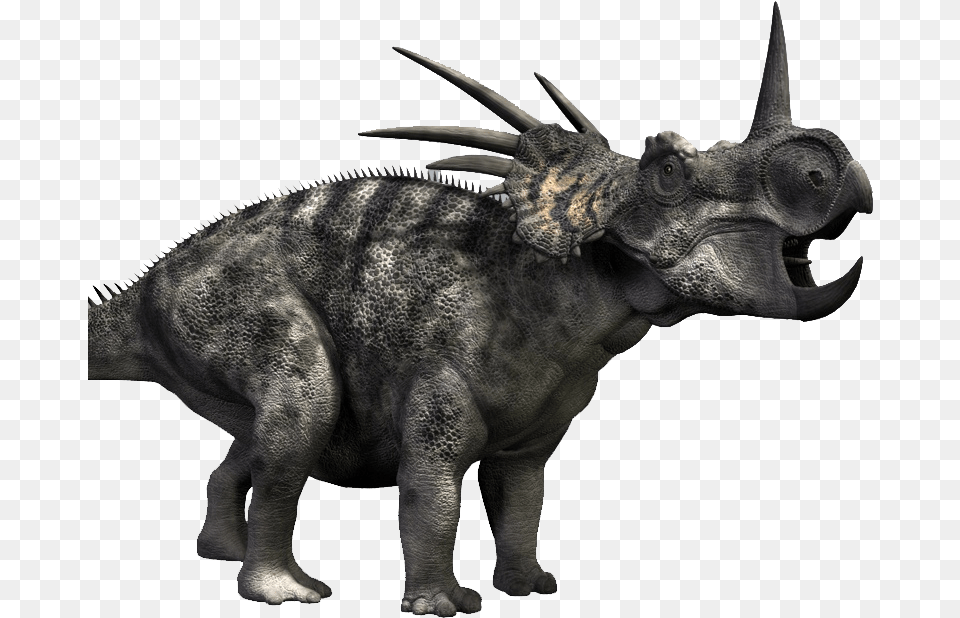 Triceratops, Animal, Dinosaur, Reptile Png