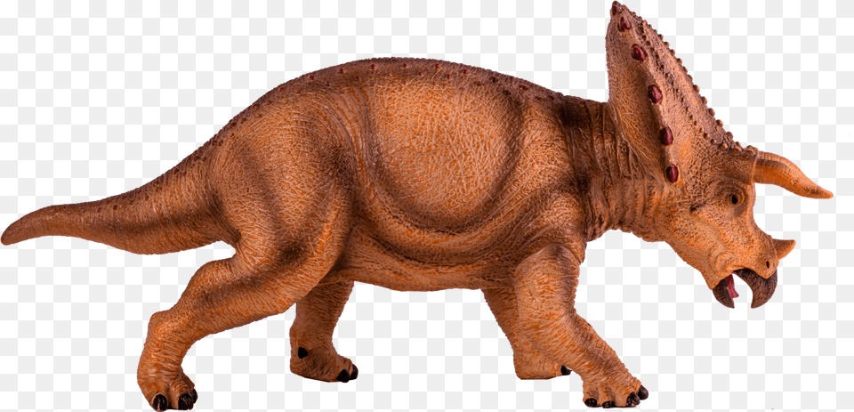 Triceratops, Animal, Dinosaur, Reptile Free Transparent Png