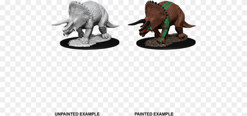 Triceratops, Animal, Dinosaur, Reptile, Accessories Free Png