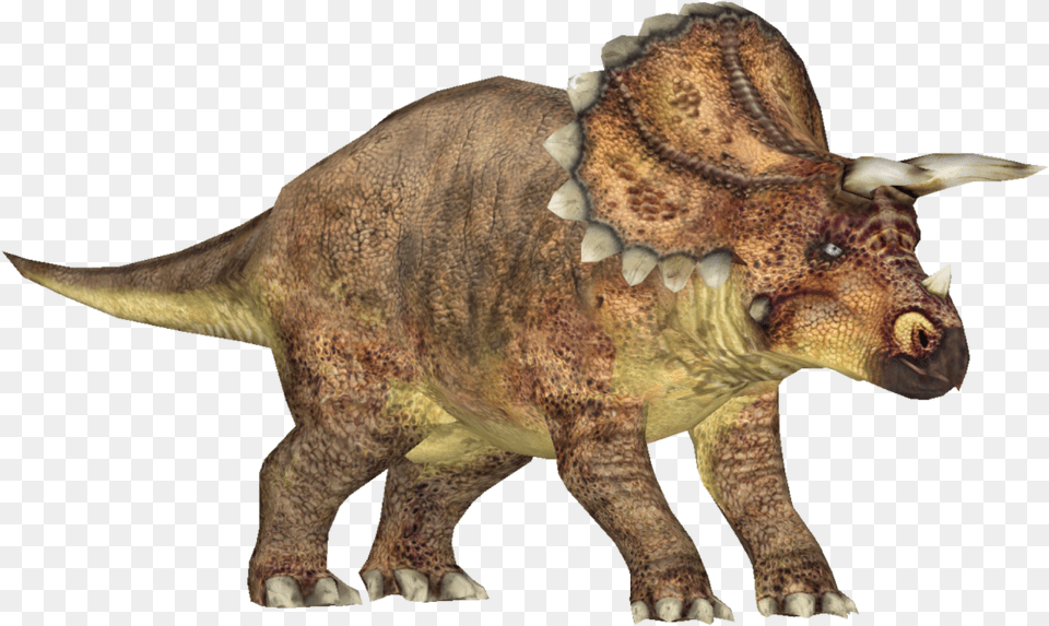 Triceratops, Animal, Dinosaur, Reptile, T-rex Free Transparent Png