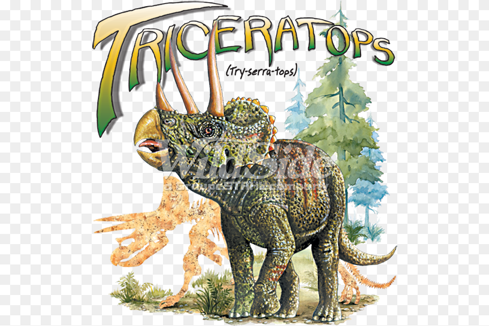 Triceratops, Animal, Dinosaur, Reptile, Lizard Png