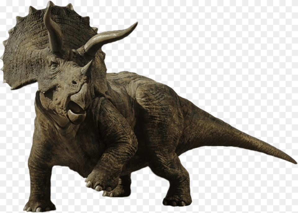 Triceratops By Camo Flauge Jurassic Park Toys Jurassic Jurassic World Dinosaurs Triceratops, Animal, Dinosaur, Reptile, Accessories Free Transparent Png