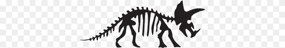 Triceratops Dinosaur Fossil Wall Art Decal Dinosaur Skeleton Drawing Easy, Animal, Reptile, Baby, Person Free Png