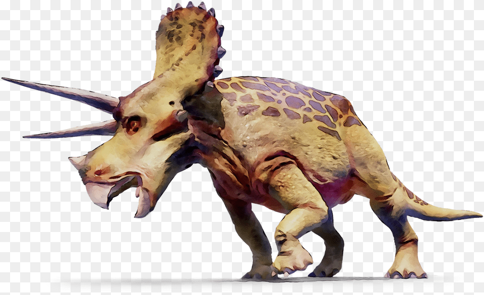 Triceratops Dinosaur Gif Tyrannosaurus Geography Clipart Triceratops Clipart, Animal, Reptile, Bird Free Png Download