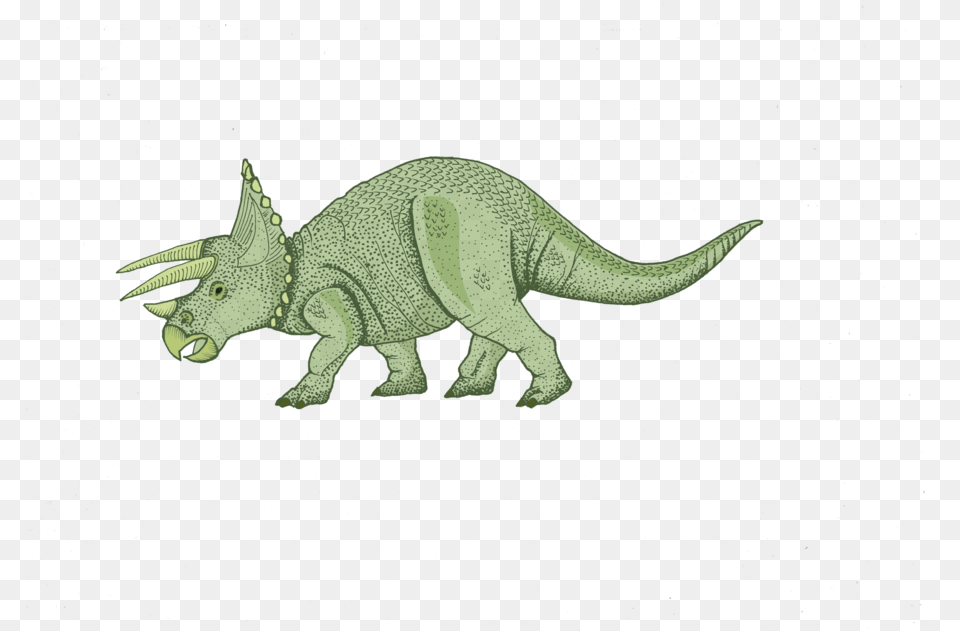 Triceratops For Map Triceratops, Animal, Dinosaur, Reptile Free Png