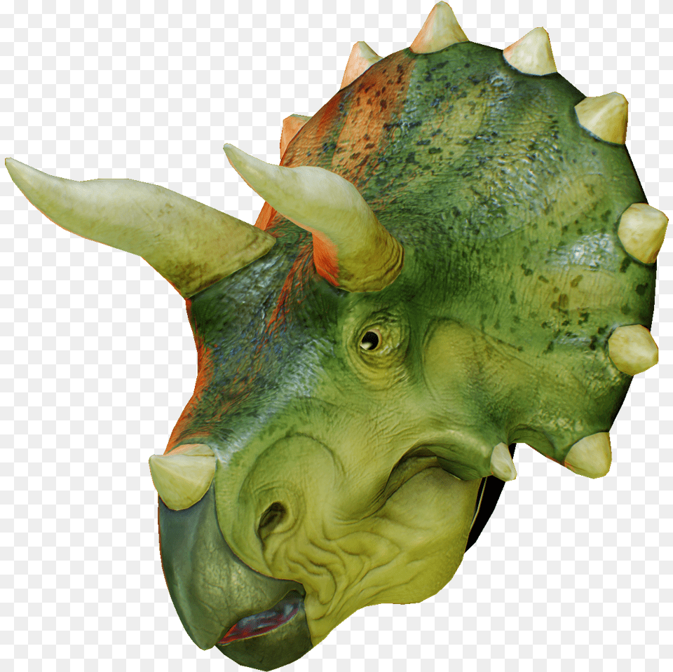 Triceratops Head, Animal, Fish, Sea Life, Lizard Png Image