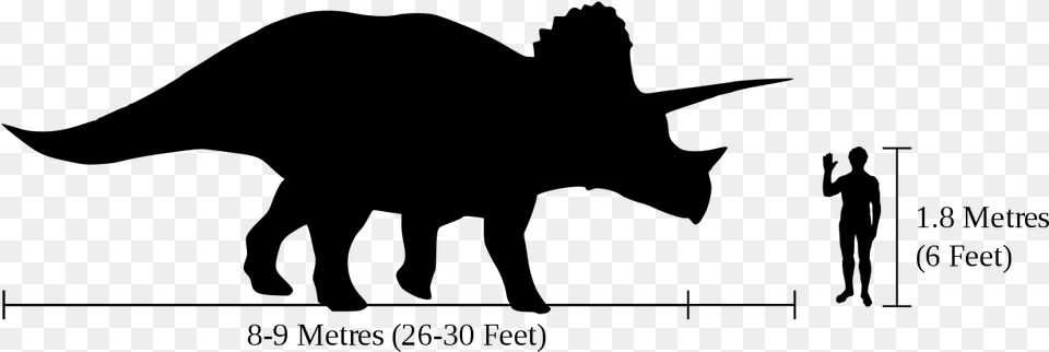 Triceratops Information, Gray Free Transparent Png