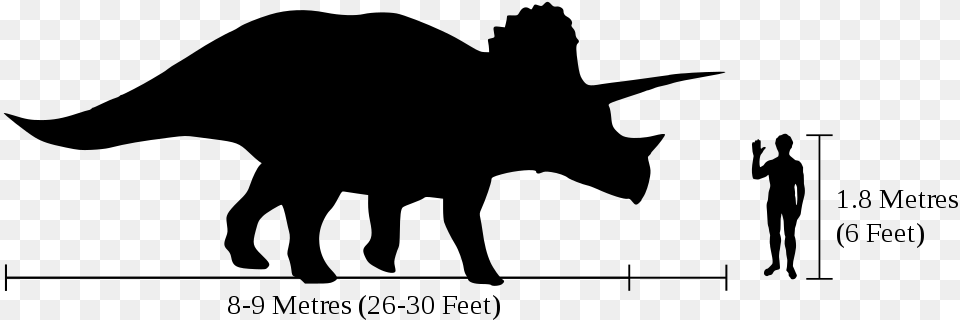 Triceratops Information, Gray Png
