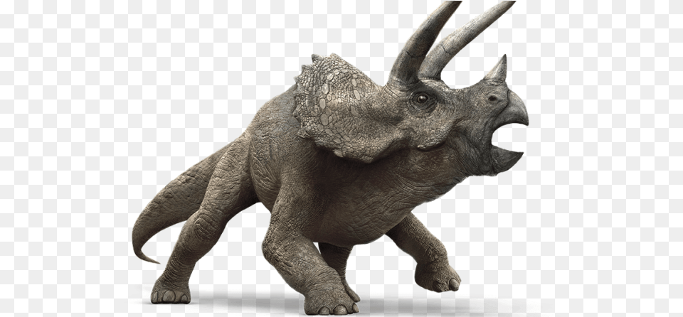 Triceratops Jurassic World, Accessories, Ornament, Animal, Elephant Free Transparent Png