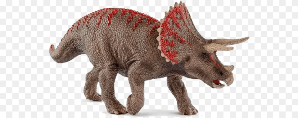 Triceratops Model, Animal, Bear, Mammal, Wildlife Free Png Download