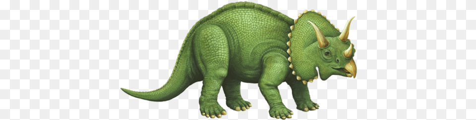 Triceratops Side View Triceratops Verde, Animal, Bear, Mammal, Wildlife Free Transparent Png