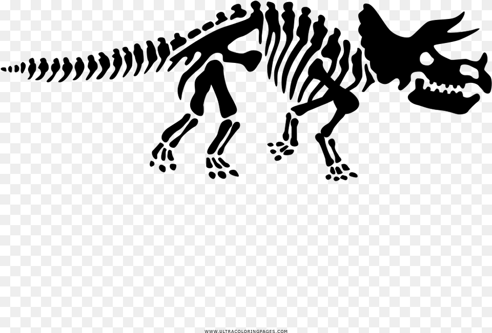 Triceratops Skeleton Coloring, Gray Free Transparent Png