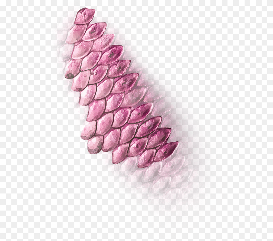 Trickswalaa Psu2022u2022 Fish Scales Fish Scales Pink Transparent, Accessories, Plant, Tree, Crystal Free Png Download